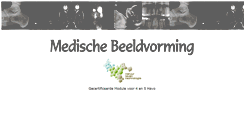 Desktop Screenshot of medischebeeldvorming.nl